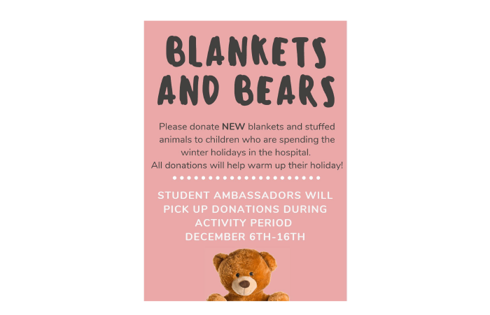 Blankets & Bears!