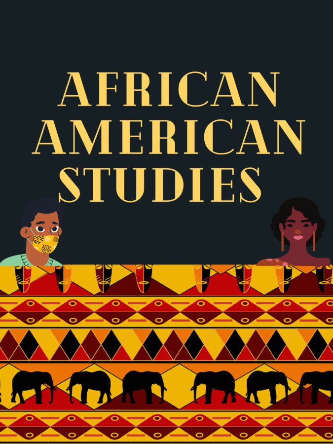 FISD African American Studies Course