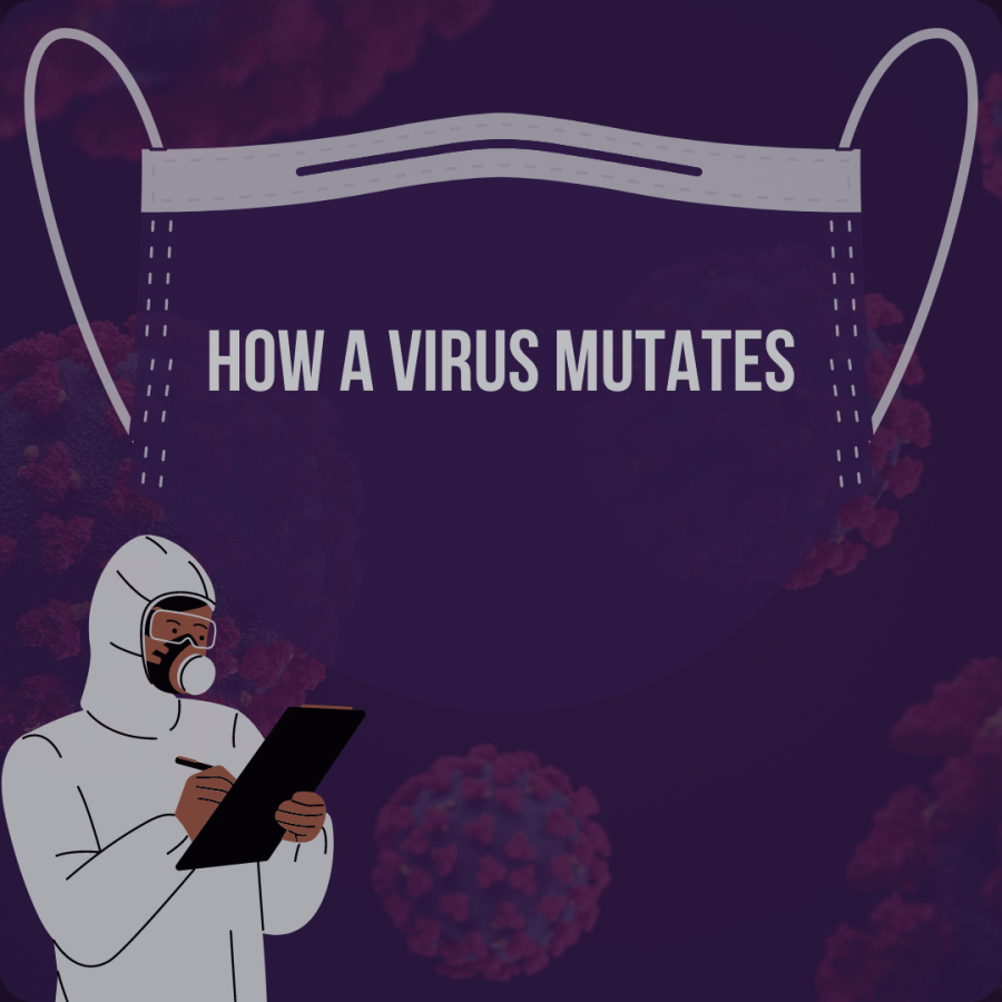 How a virus mutates